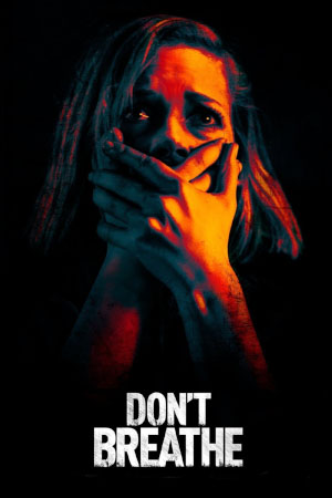 Download Don’t Breathe Part 1 (2016) BluRay [Hindi + English] ESub 480p 720p