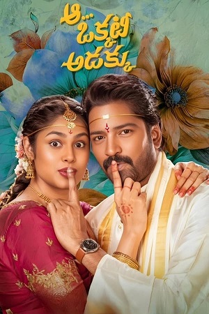 Download Aa Okkati Adakku (2024) WebRip Telugu ESub 480p 720p