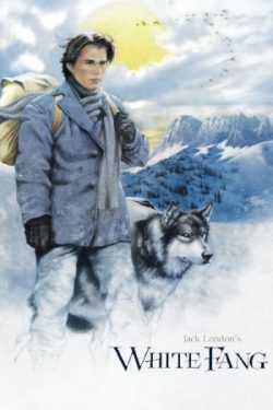 Download White Fang (1991) BluRay [Hindi + English] ESub 480p 720p